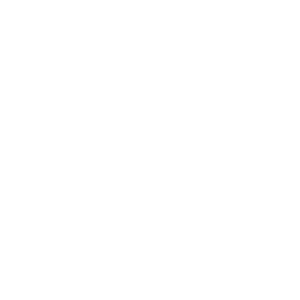 Addilyn Erica Logo Mark